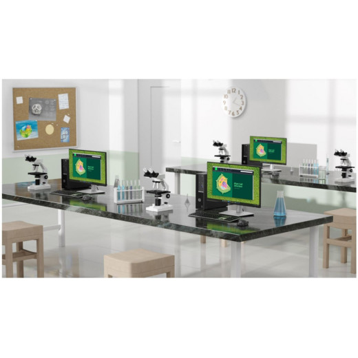 Dell Komputer Optiplex SFF/Core i3-14100/8GB/256GB SSD/Integrated/WLAN + BT/Kb/Mouse/W11Pro