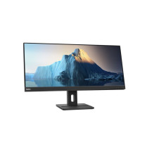 Lenovo Monitor 29.0 ThinkVision E29w-20 WLED LCD 62CEGAT3EU