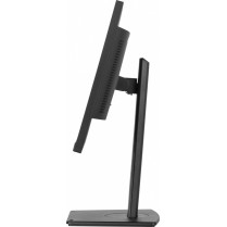 IIYAMA Monitor 24 cale XUB2497HSU-B1 IPS.HDMI.DP.2x2W.2xUSB(2.0).HAS(150mm). 250cd.1ms.100Hz