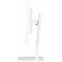 IIYAMA Monitor 24 cale XUB2497HSN-W1 IPS,USB-C Dock,HDMI,DP