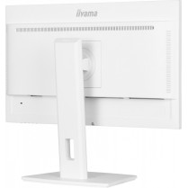 IIYAMA Monitor 24 cale XUB2497HSN-W1 IPS,USB-C Dock,HDMI,DP