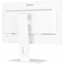 IIYAMA Monitor 24 cale XUB2497HSU-W2 IPS, HDMI, DP, 2x2W, 2xUSB, Pivot, HAS(150mm)