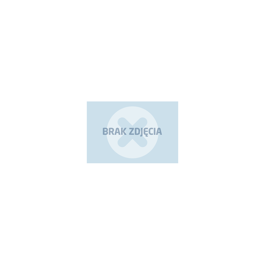 Epson Tusz Stylus Photo R2000 T1593 Magenta 17ml