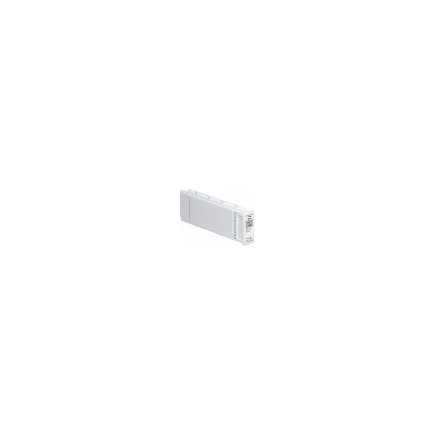 Epson tusz C13T800000 (light gray) T8000