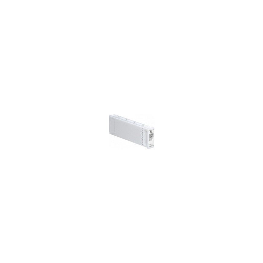 Epson tusz C13T800900 (gray) T8009