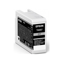   				Epson tusz C13T46S700 (gray) T46S7							
