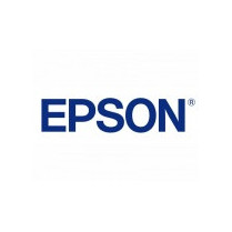 Epson pamięć DDRAM 512 MB (7012080)