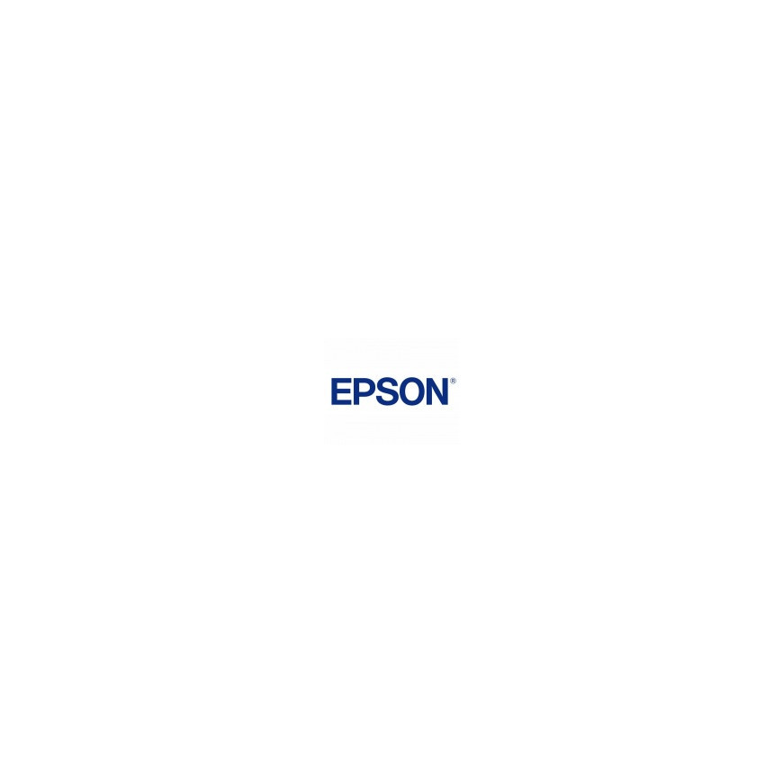 Epson pamięć DDRAM 512 MB (7012080)