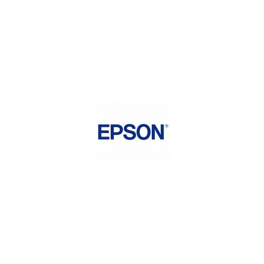 Epson pamięć DDRAM 512 MB (7012080)