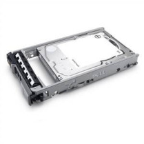 Dell Dell 960GB SSD SAS RI 12Gbps 512e 2.5in 3.5in