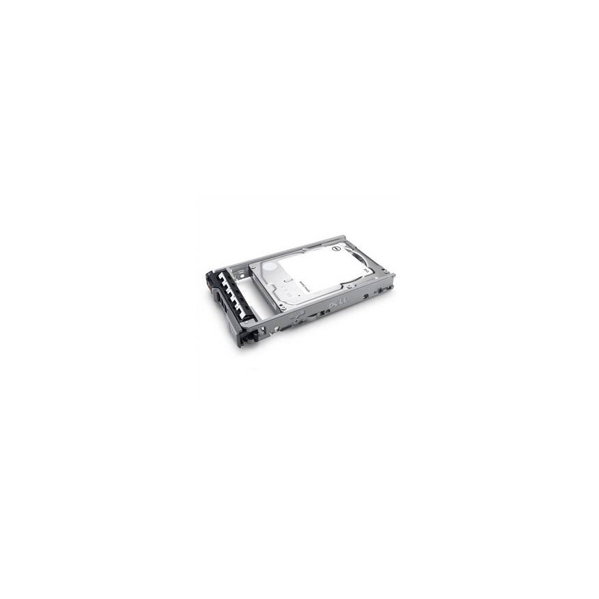 Dell Dell 960GB SSD SAS RI 12Gbps 512e 2.5in 3.5in