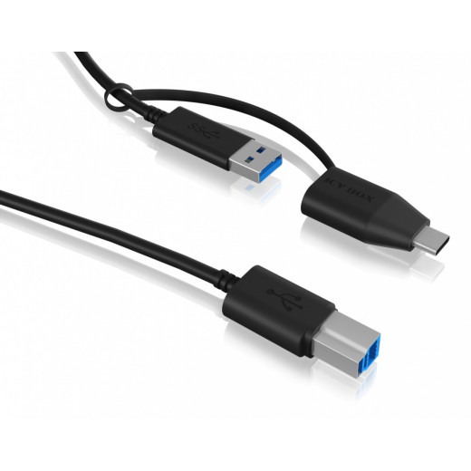 IcyBox Stacja dokująca IB-1124L-C31 1xSATA III SSD/HDD, USB 3.0TYPE-C/TYPE-A
